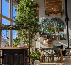 東松島市「いろどりの丘」正月すっきり岩盤浴