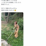 【悲報】女さんの草刈り、あまりに危険すぎるｗｗｗｗ