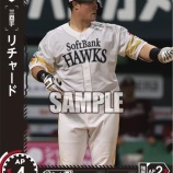 『打率1割台で二けた本塁打』の画像