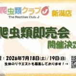 『【新潟店】爬虫類即売会開催決定！！』の画像