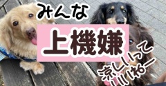 怒涛の会議週間終了。宿題山積みだけどね。