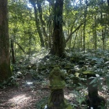 �ز���������2025 vol.3 ��ǯ�֤�ε����ؽꡢ�䥯�������ɤȻ������ʡְ��ڷл��ס٤β���