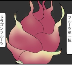 ドラゴンフルーツ再評価