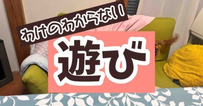 男の子たちの不思議な遊び。