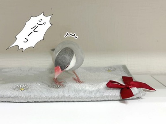 かわいいリボン