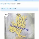 NPS水槽立ち上げ5ヵ月経過