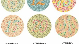 「色覚検査をすることは差別につながる」 10年前に批判受け中止された小4での色覚検査、異常知らず進路選択…トラブルも