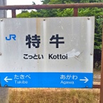 ohanefu　blog　 ～snap photo～