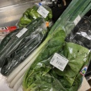 道の駅「とよとみ」さん、「富士川」さんで地産の野菜を買い込みましたよ。