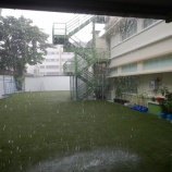 『突然の大雨』の画像