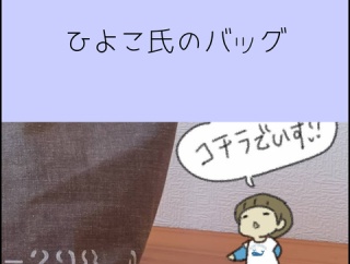 ひよこ氏のバッグ