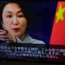 倉敷案内人日記