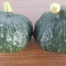 いただきもの