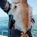 どんこ店長ブログ