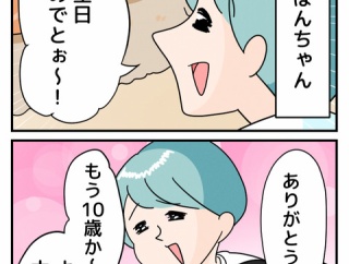 ぽんちゃん10歳になりました🍰