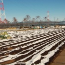 それにしても凄い雪と自民圧勝・・・どうであれ淡々と行きますわ