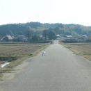 《ROADSTER》　Double-Wishbone【Suspension】