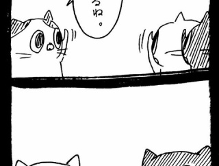 選挙に出馬しよう33