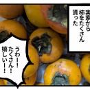 柿の食べ過ぎ注意と夢占い