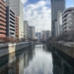 理系弁護土の何でもノート２．５