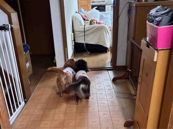 撮れ高ゼロの日。