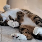 ブログあれこれ