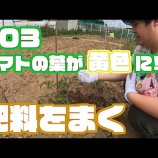 『LINKS TV、投稿しました!!先週&今週の放送』の画像