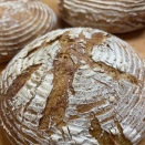 みかん酵母のカンパーニュ、レーズン酵母のイングリッシュマフィン