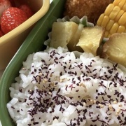 【悲報】まんさん、入れ替わっていた弟の弁当を見て泣く