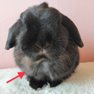 ぶ〜に〜の暮らし