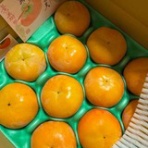 メンズ大きいサイズ専門通販店・デビルーズ店主漫遊記