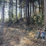 austintexasの自転車日誌