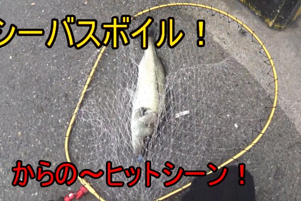 釣りつべちゃんねる ふくまる大将釣り動画