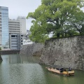 駿府城公園 (*ΦωΦ*)にゃー