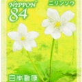 切手アラカルトへようこそ－20.山菜狩りの落とし穴！「春の妖精」ニリンソウに隠れた、死を招く猛毒の正体ー