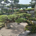 花と短歌と竹原と