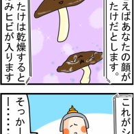 ＃106『お顔にしわができるメカニズムを教えてくれた番組』