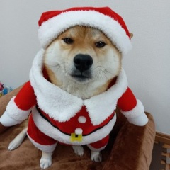 メリークリスマス
