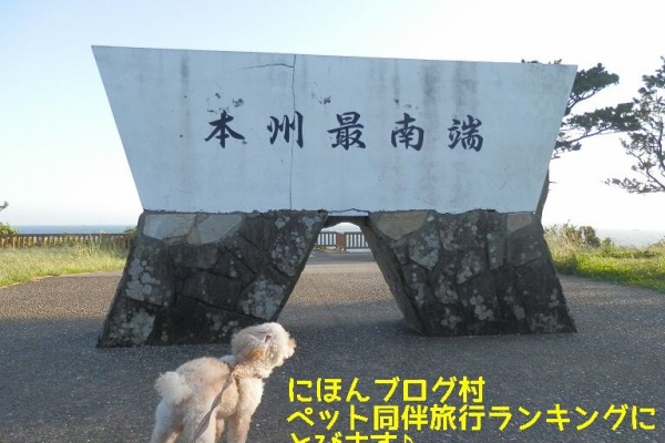 おでかけワンコだにゃ 犬連れ和歌山
