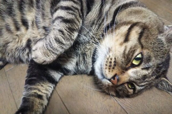 卵巣がんステージⅣでも、人生楽しく前向きに。喜怒哀楽を大事にね。