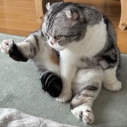 不運続きの日は幸運1つで帳消しになります～♪