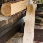 本物の無垢木材　～茨木市戸田材木店・セルバの木の虫ブログ～