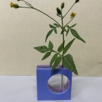 アクリル会長　アクリル職人日記