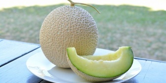 職場で受け取ったメロンをカットして休憩室に置いたら、空気が読めない同僚が皿に取り分けるフォークを持っていた…