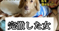 一夜明けて。