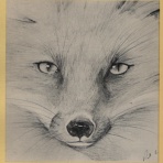 夜の旅人　研究ブログ３