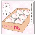 桃のパイと桃ゼリー【ゆるていねいな暮らし】