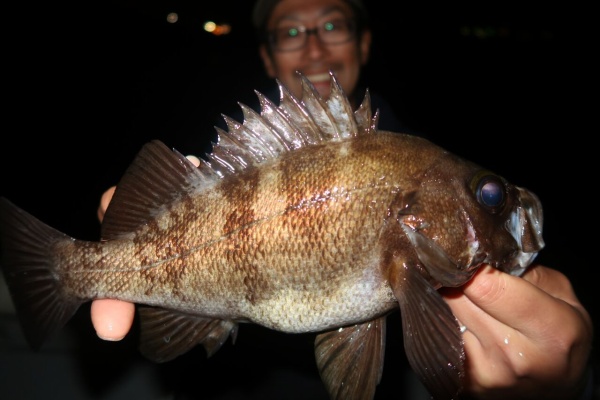 TOKYOBAY FISHING GUIDE SERVICE Glory(グローリーフィッシング