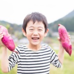 一般的に考えてよっぽどの理由がない限り結婚して子供作った方が得だよな