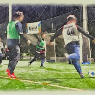 サソリのフットボール奮闘記